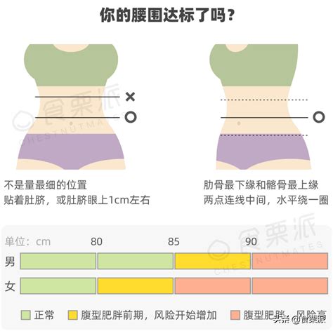 腰圍計算方式|腰圍換算: 腰圍怎麼量？挑選正確腰圍/臀圍的尺寸